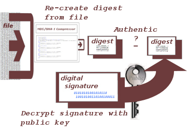 PDF Certificate Signatures